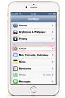 iCloud