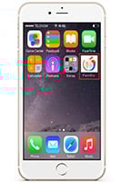 Run the PanGu application